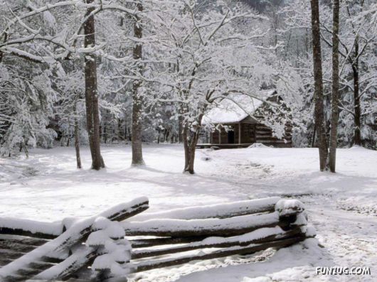 Click to Enlarge - Beautiful Winter Special Wallpapers