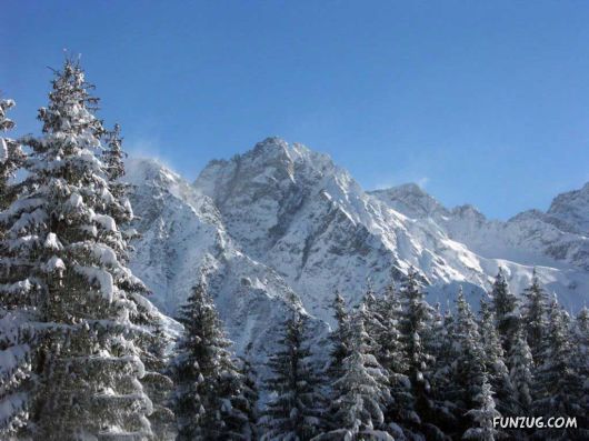 Click to Enlarge - Beautiful Winter Special Wallpapers