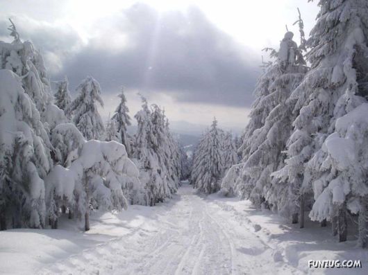 Click to Enlarge - Beautiful Winter Special Wallpapers