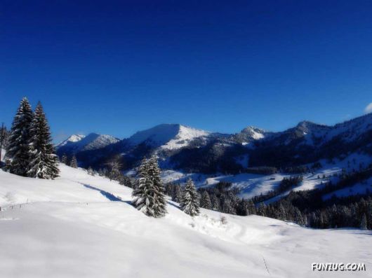 Click to Enlarge - Beautiful Winter Special Wallpapers