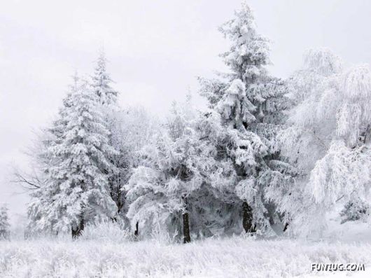 Click to Enlarge - Beautiful Winter Special Wallpapers