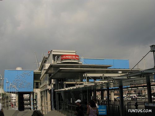 Aquariums from Different Corners of the World