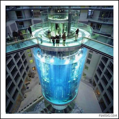 Aquariums from Different Corners of the World