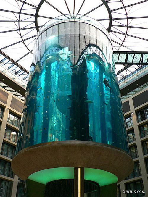 Aquariums from Different Corners of the World