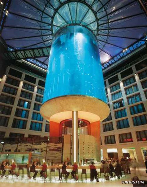 Aquariums from Different Corners of the World