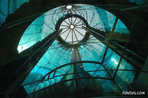 Aquariums from Different Corners of the World