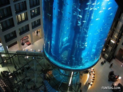 Aquariums from Different Corners of the World