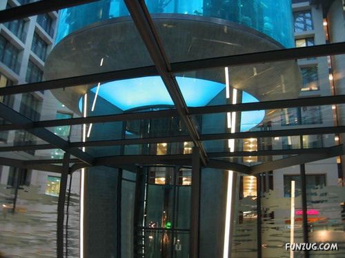 Aquariums from Different Corners of the World