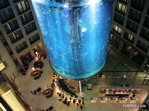 Aquariums from Different Corners of the World