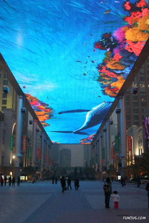 Aquariums from Different Corners of the World