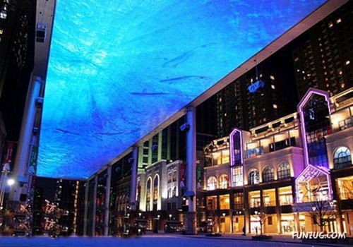 Aquariums from Different Corners of the World