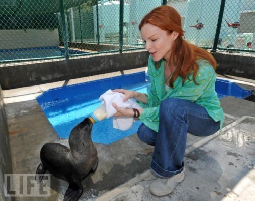 Baby Animals Being Bottle Fed