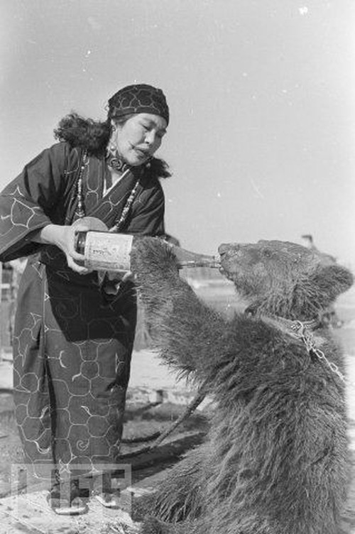 Baby Animals Being Bottle Fed