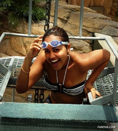 Swimming With The Crocodiles