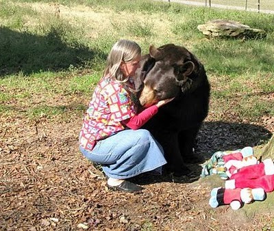 Unusual Friendship of Tiger, Lion and Bear