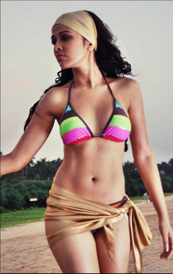 Beautiful Bollywood Babe Nisha Kothari
