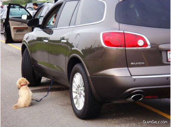 Funniest Female Drivers Ever