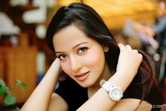Tollywood Beauty Preetika Rao