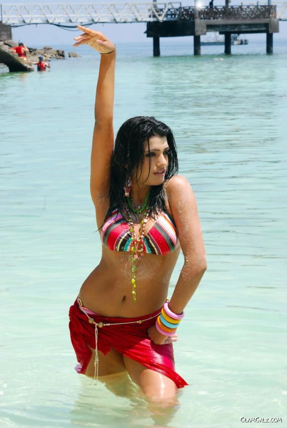 Spicy Indian Beauty Tashu Kaushik