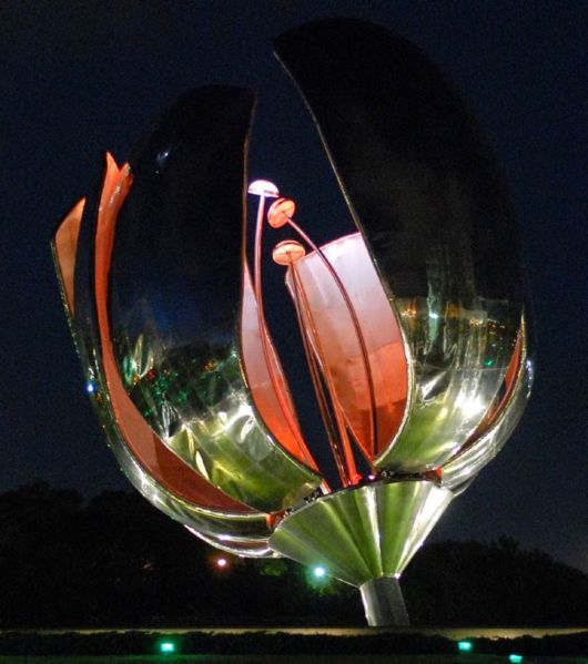 Amazing Metallic Flower in Argentina