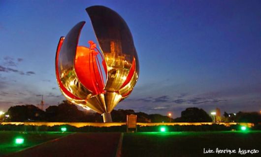 Amazing Metallic Flower in Argentina