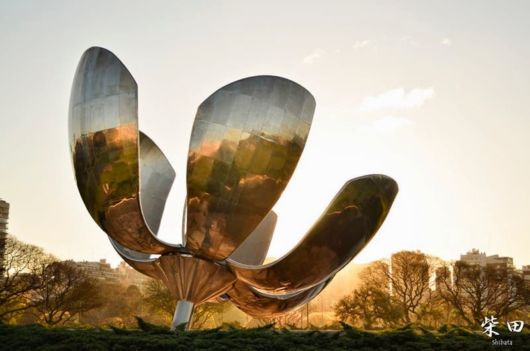 Amazing Metallic Flower in Argentina