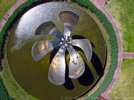 Amazing Metallic Flower in Argentina