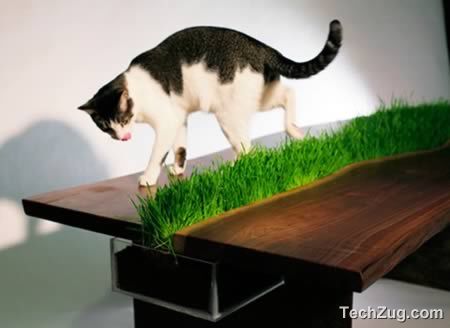 Awesomely Clever Pet Friendly Furniture Items