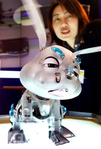 Cool Robotic Animals