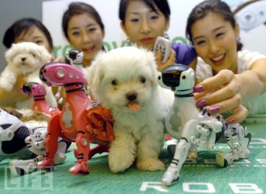 Cool Robotic Animals