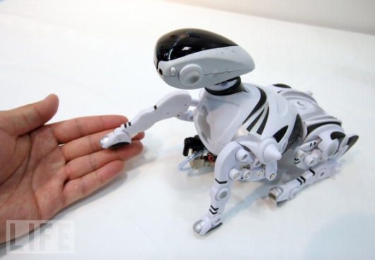 Cool Robotic Animals